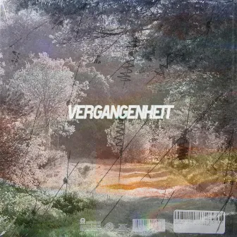 vergangenheit by neec