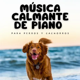 Música Calmante De Piano Para Perros Y Cachorros by 