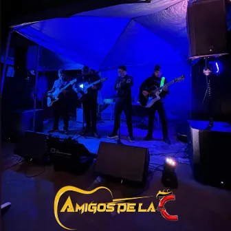 También Me Llamo Ismael (En Vivo) by Amigos De La C