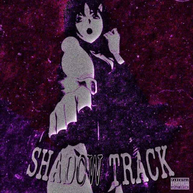 SHADOW TRACK