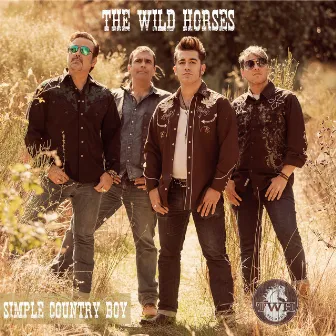 Simple Country Boy by The Wild Horses