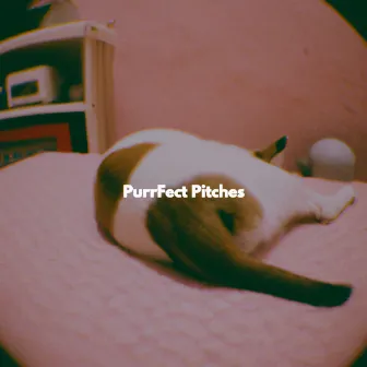 PurrFect Pitches by Unknown Artist