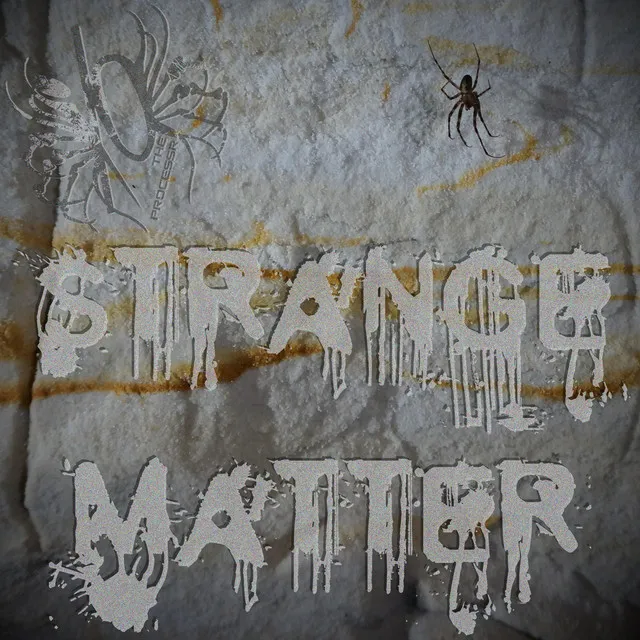 Strange Matter