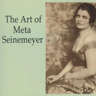 The Art of Meta Seinemeyer by Meta Seinemeyer