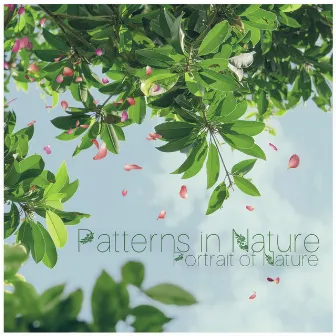 Patterns in Nature by Portrait of Nature