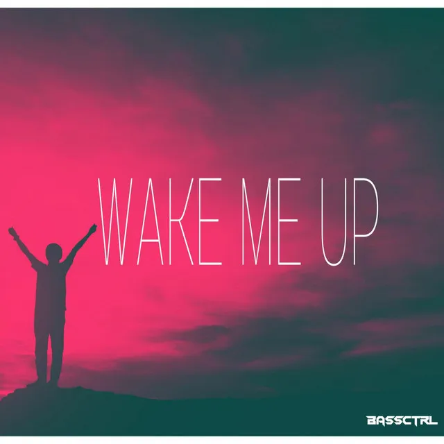 Wake Me Up