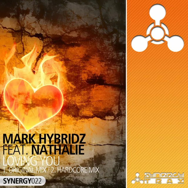 Mark HybridZ