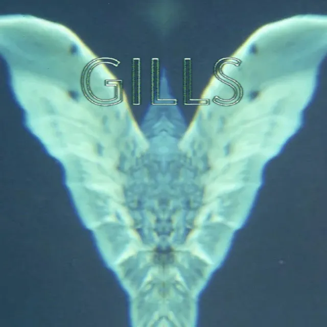 Gills