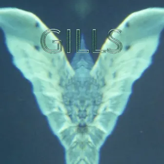 Gills by ELDA