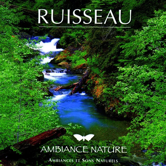 Ambiance Nature Ruisseau