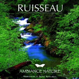 Ambiance Nature Ruisseau by Unknown Artist