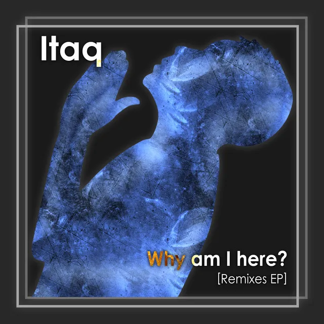 Why am I here? [Remixes EP]