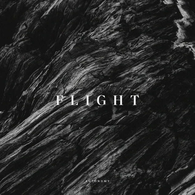 Flight