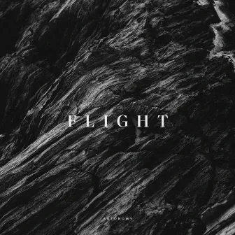 Flight by Thomas Slinger