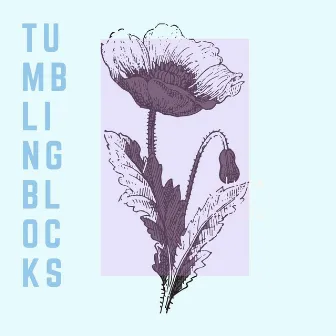 Tumbling Blocks by Tyra + Tiara