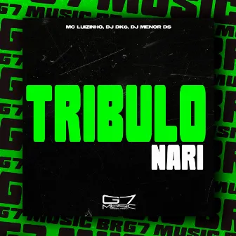 Tribulo Nari by Mc Luizinho