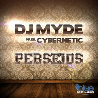 Perseids by DJ Myde