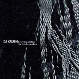 Stepping Stones: The Self-Remixed Best by DJ KRUSH