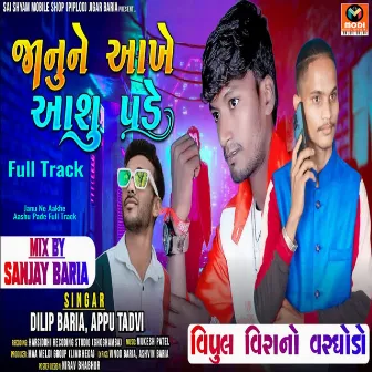 Janu Ne Aakhe Aashu Pade Full Track by Dilip Baria