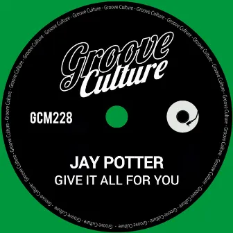 Give It All For You by Jay Potter