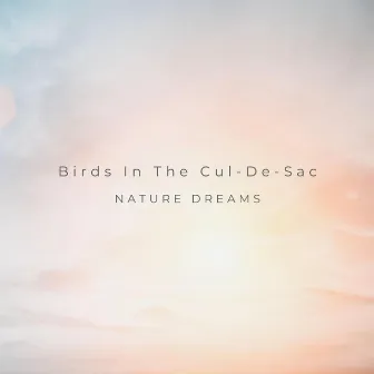 Birds In The Cul-De-Sac by Nature Dreams