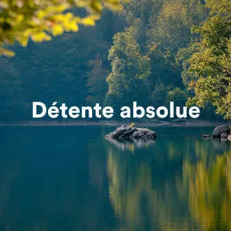 Détente absolue by Détente