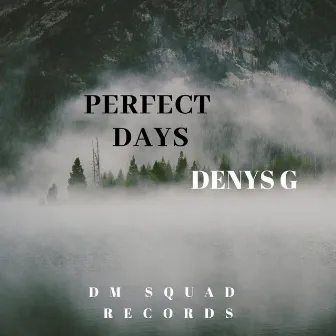 Perfect Days by Denys G