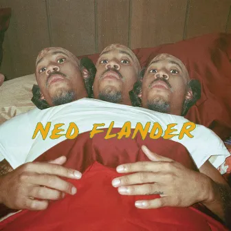 NY (Ned Flander) (feat. Hodgy & Tyler, The Creator) by Odd Future