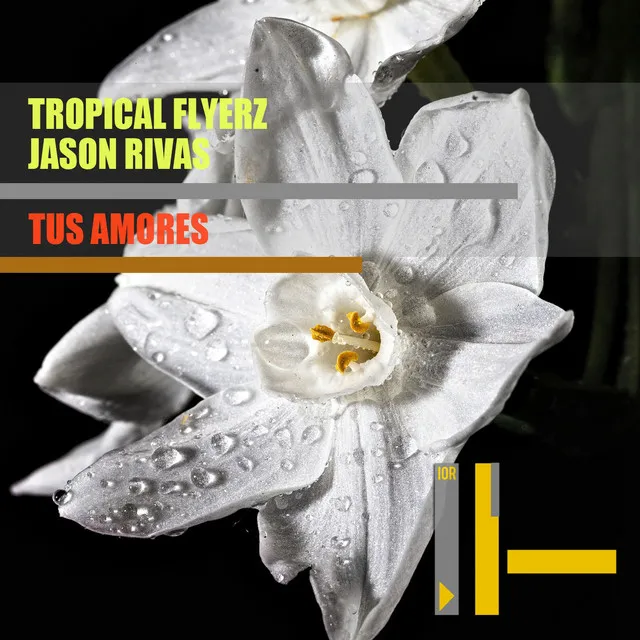 Tus Amores - Extended Mix