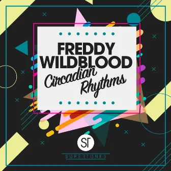 Circadian Rhythms by Freddy Wildblood