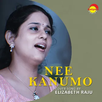 Nee Kanumo (Recreated Version) by Elizabeth Raju