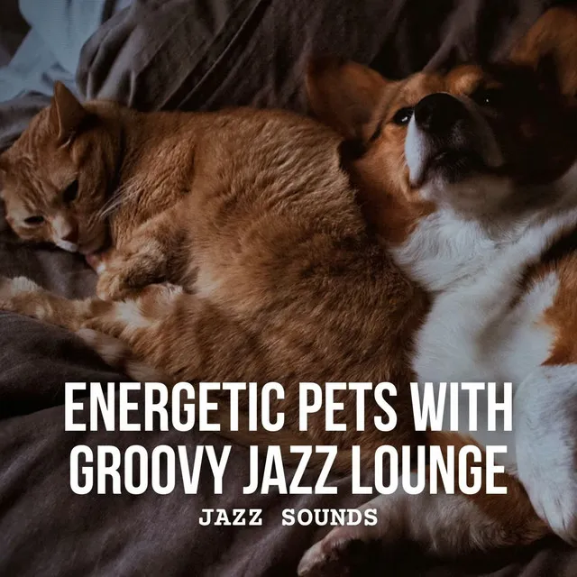 Jazz Sounds: Energetic Pets with Groovy Jazz Lounge