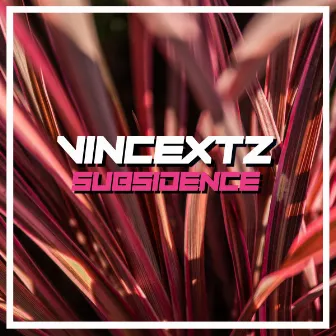 Subsidence by Vincextz