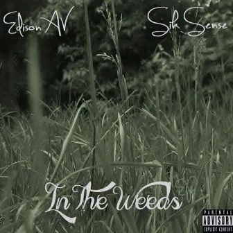 In the Weeds by Sik Sense