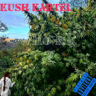 Who Kk by Kush Kartel