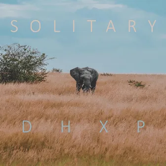 Solitary by DHXP