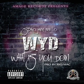 What Is You Doin' by Spacejam Melo