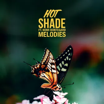 Melodies by Hot Shade