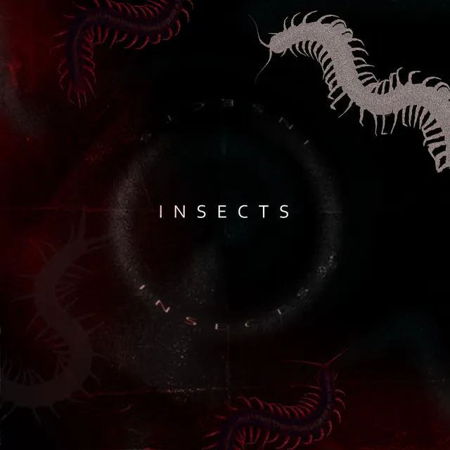 Insects