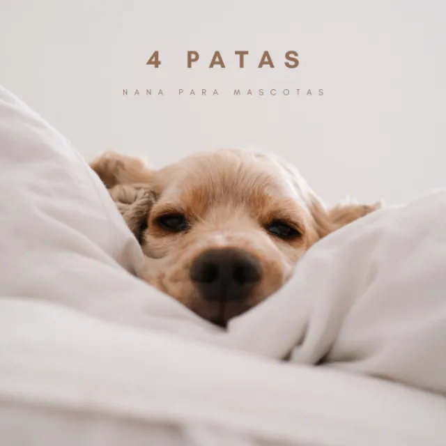 4 Patas: Nana Para Mascotas