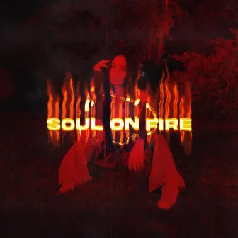 soul on fire by Aleka