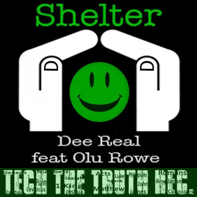 Shelter (feat. Olu Rowe) - Original Mix