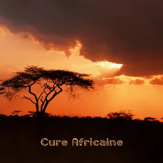 Cure Africaine: Tribu de tambours pour le nettoyage énergétique, la méditation, la relaxation by May Padma