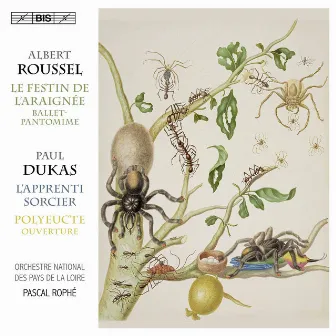 Dukas: Polyeucte Overture & L'apprenti sorcier - Roussel: Le festin de l'araignée by Orchestre national des Pays de la Loire