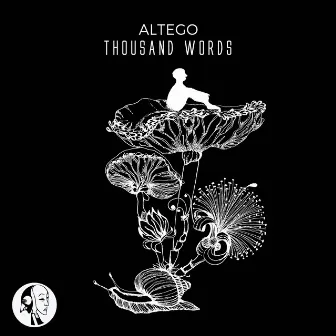 Thousand Words by Altego