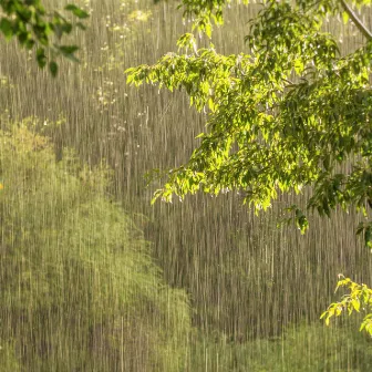 Rain on a Tent by Unknown Artist