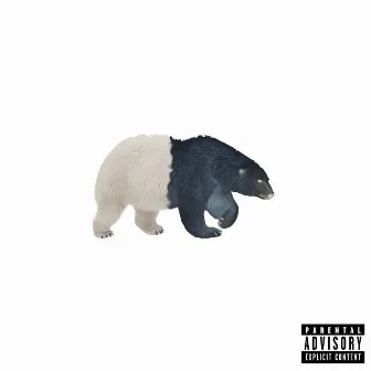 2polar by iluv