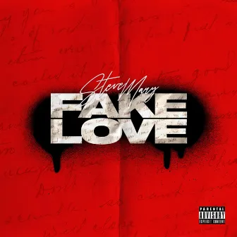 Fake Love by Steve Mary