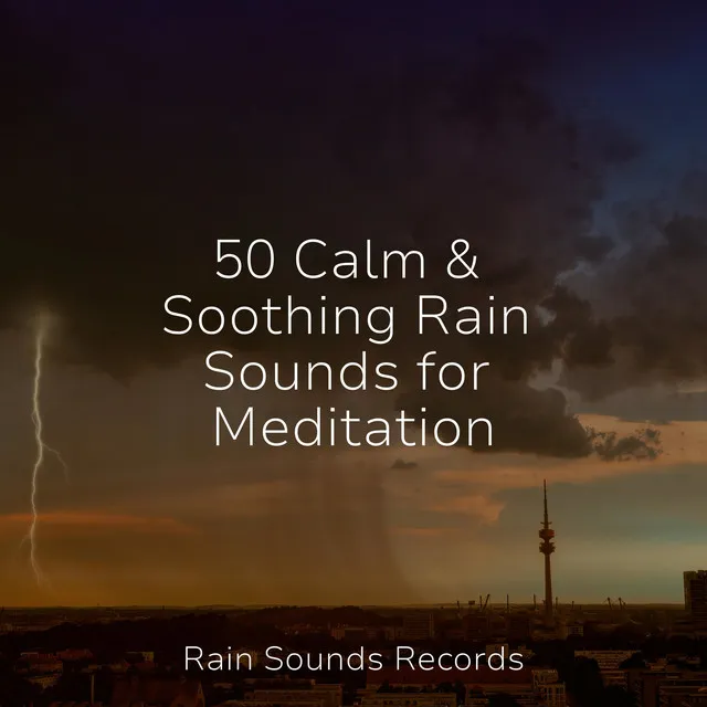 50 Calm & Soothing Rain Sounds for Meditation