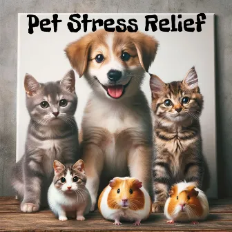 Pet Stress Relief: Music for Dogs and Cats with PTSD, Relaxing Sounds and Recovery by Solfeggio Tones!